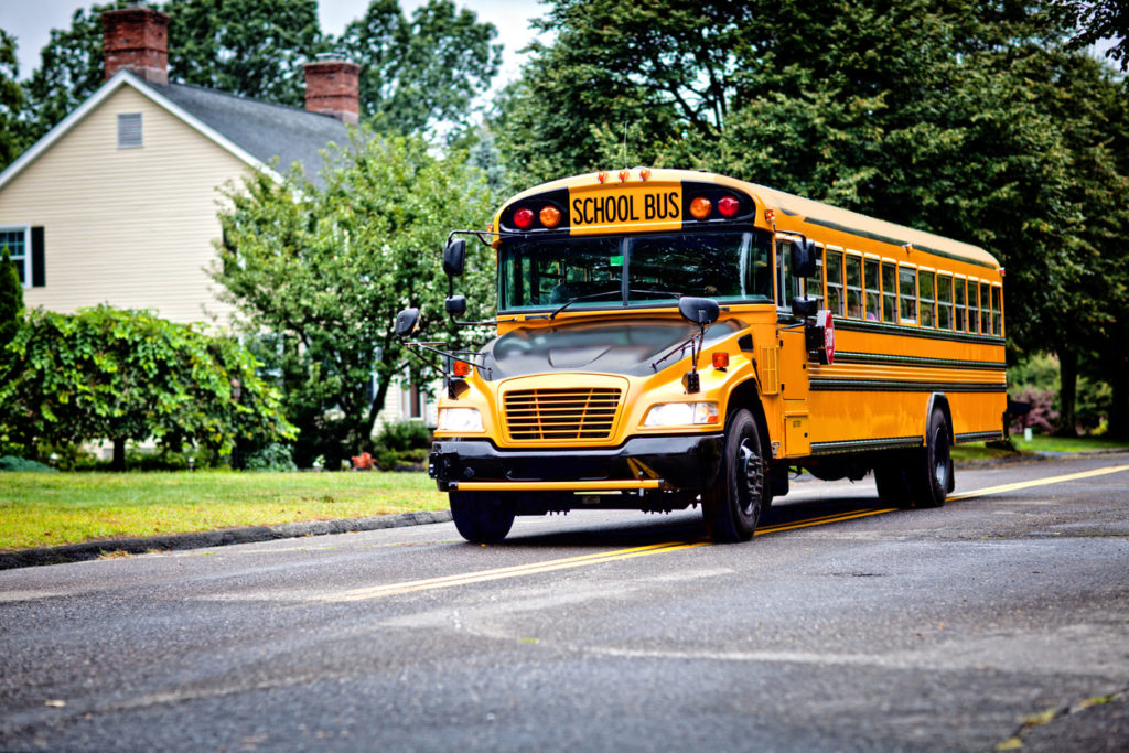 what-are-the-rules-in-georgia-regarding-stopping-for-a-school-bus